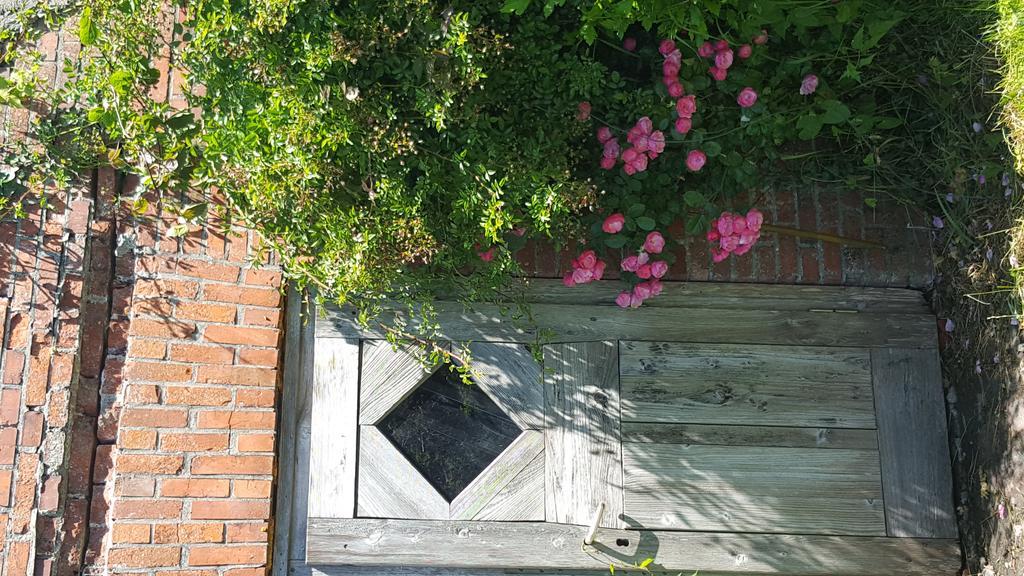 Ferienwohnungen Zollhaus Utlandshoern Norden Kültér fotó